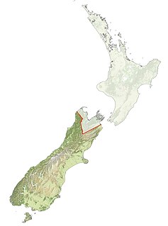 Ngāi Tahu Māori iwi in New Zealand