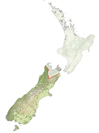 <span class="mw-page-title-main">Ngāi Tahu</span> Māori iwi in New Zealand