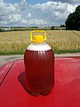 Nice summer colors, The Original Bauska's beer from tap between the grain fields. LVL 1,12 (EUR 1,55) per liter. July, 2009 - Ivars Indāns - Panoramio.jpg