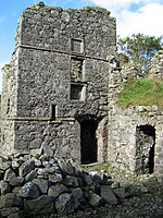 Utara-timur bagian dari Pitsligo Castle - geograph.org.inggris - 1025288.jpg