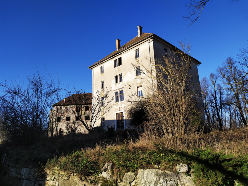 File:Nussdorf Castle.png