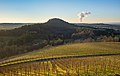 Oberstenfeld - Forstberg - Blick vom Gipfel zum Wunnenstein