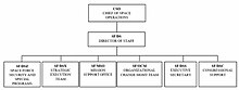 SF/DS organizational chart Office of the Director of Staff of the United States Space Force organizational chart.jpg