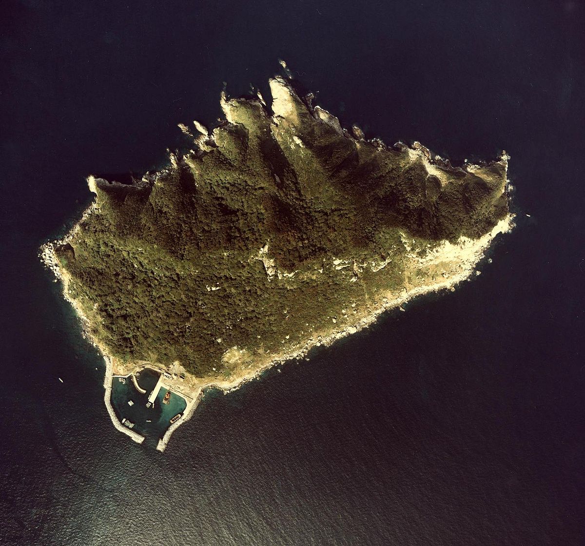 The Naked Island - Wikipedia