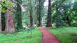 The site of the Lefnoreis Tower from near Dumfries House stables. Old Leifnorris Castle site, Dumfries House, Ayrshire.jpg