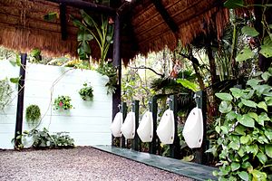 Landscape Toilet in Green World Ecological Farm