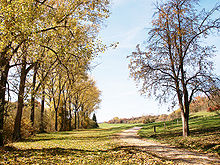 Ostdorfer Landschaftsblick