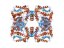 PDB 1 г / мин EBI.jpg