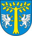 Logo of the Dębica Rural Municipality