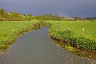 L'Aure a Trévières.