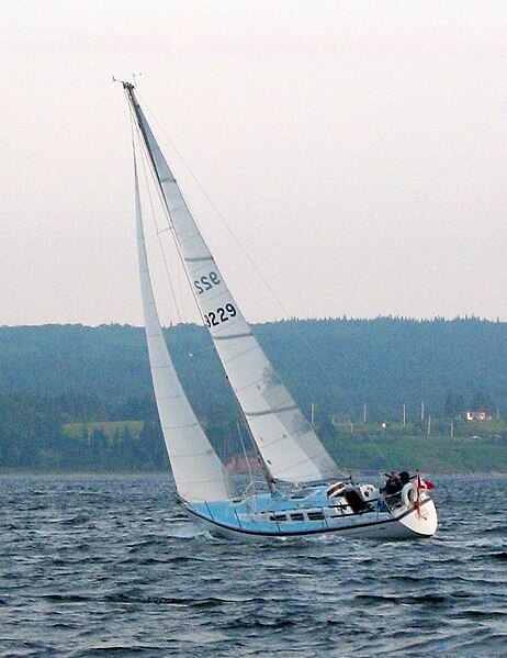 File:Paceship Chance 32-28 Petrel in the Cabot Strait.jpg
