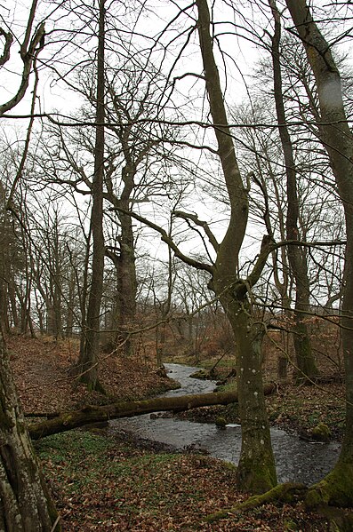 File:Parsęta-Source-Near-Parsęcko-09.JPG