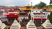 Pashupatinath Temple Nepal IMG 7933 2018 15.jpg