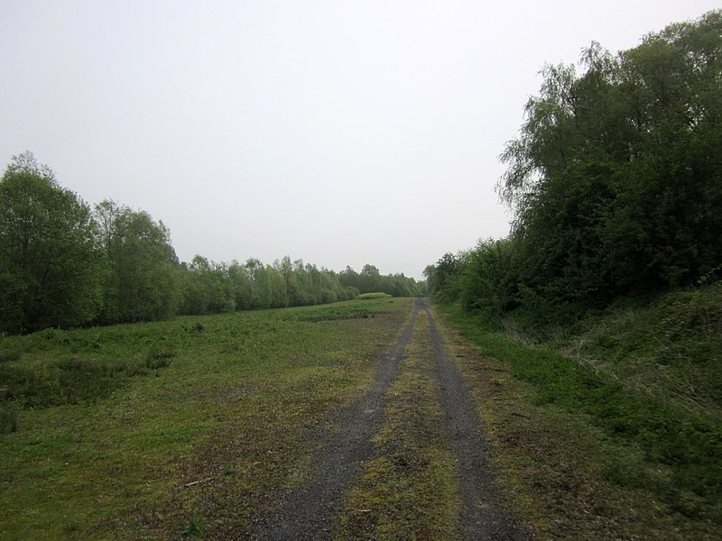 File:Path along the Scheldt between Mortagne-du-Nord and Odomez, France - panoramio (2).jpg