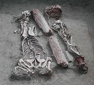 Pazyryk burial from Baga Turgen Gol site, Bayan-Ölgiy province, Western Mongolia.jpg