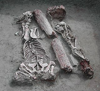 <span class="mw-page-title-main">Pazyryk burials</span> Iron Age tombs in the Altai Mountains of Russia