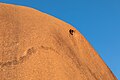 * Nomination Kuniya Walk near Mutitjulu Waterhole at Uluru (Ayers Rock) in Uluṟu-Kata Tjuṯa National Park, Petermann Ranges, Northern Territory, Australia --XRay 01:46, 1 January 2020 (UTC) * Promotion Good quality --Llez 07:11, 1 January 2020 (UTC)