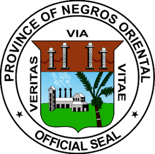<span class="mw-page-title-main">Governor of Negros Oriental</span> Local chief executive