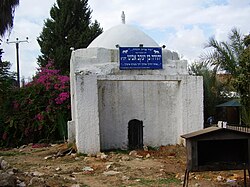 Skyline of Al-'Abbasiyya