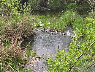 <span class="mw-page-title-main">Piner Creek</span> River in California, United States