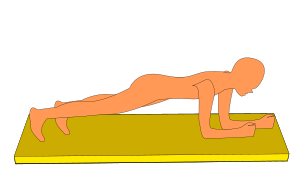 Plank exercise.svg