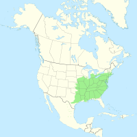 Platanus occidentalis range map.svg