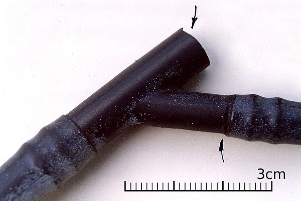 Close-up of the broken fuel pipe from a road traffic accident.