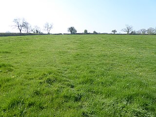 <span class="mw-page-title-main">Plumpton Pasture</span>