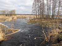 A small channel of water in the late fall or winter, surrounded by brown marsh-like vegetation