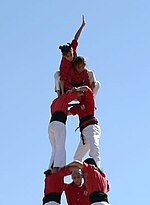 Miniatura per Aleta (castells)