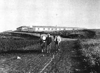 אחוזת פוריה בשנת 1912