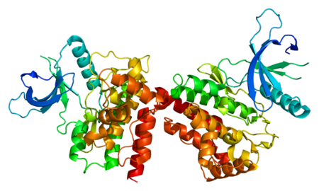 Janus kinase 2