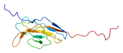 پروتئین SIRPB1 PDB 2d9c.png