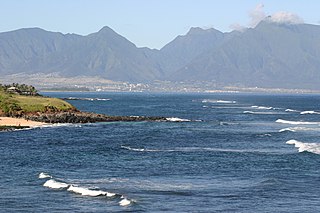 <span class="mw-page-title-main">Puʻu Kukui</span> Mountain Peak in Hawaii, United States