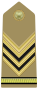 IT-Army-OR9a.svg