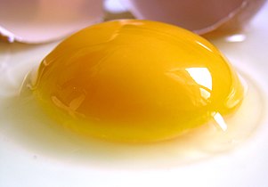 The yolk of a raw egg. The color comes from the xanthophyll carotenoids lutein and zeaxanthin
