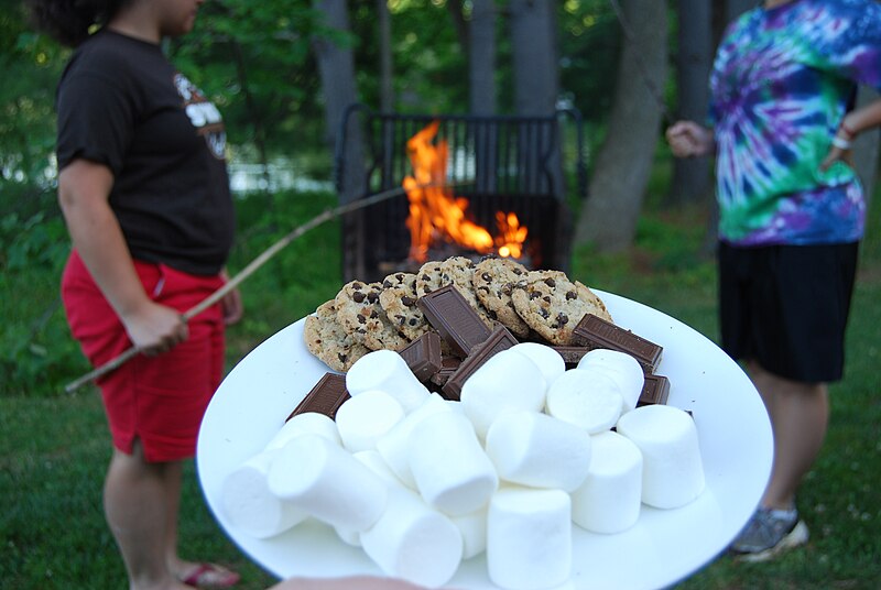 File:Ready for smores (7490700386).jpg