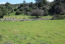 Stones of retaining wall used in preventing soil run-off in dale Retaining wall in dale, Israel.jpg