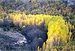 Miniatura para Valle del Tajuña en Torrecuadrada