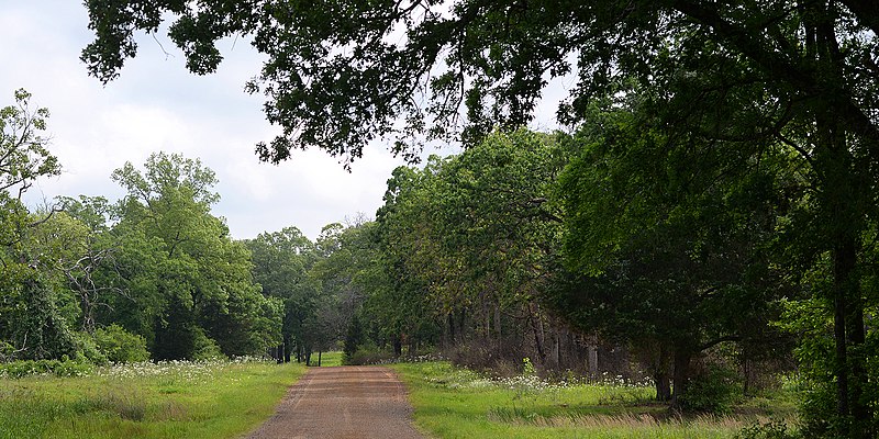 File:Road in Northern Post Oak Savanna, Gus Engeling Wildlife Management Area, Anderson County, Texas, USA (15 April 2017).jpg
