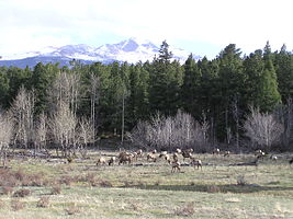 Rocky Mountain National Park PA152454.jpg