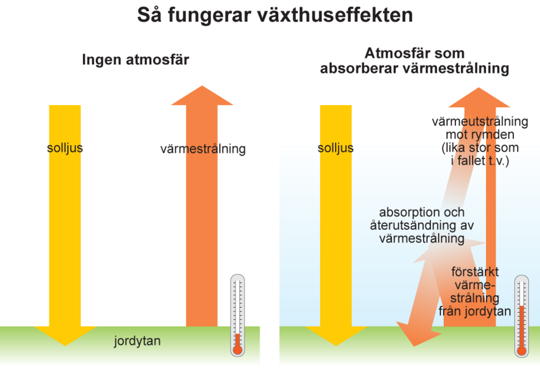 Växthuseffekten