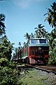 Engine 720 on the approach to Coral Gardens Halt