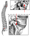 Thumbnail for version as of 18:17, 25 February 2019