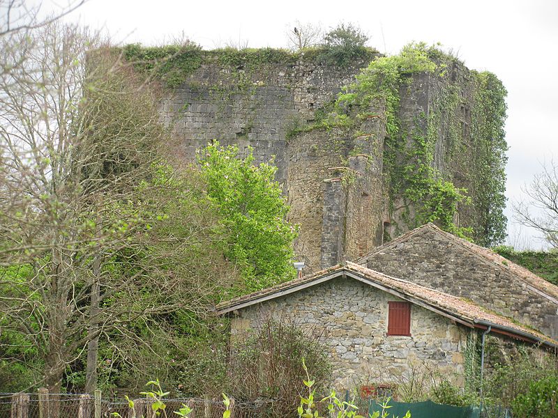 File:Saint-Pée-sur-Nivelle - Donjon.jpg