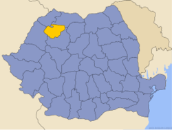 Повіт Селаж на мапі Румунії