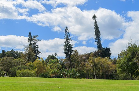 Santa Catarina Park Funchal Madeira