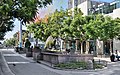 * Nomination Dinosaur in Third Street Promenade in Santa Monica, California. --Cayambe 07:13, 23 October 2017 (UTC) * Promotion Good quality. --Jacek Halicki 08:39, 23 October 2017 (UTC)