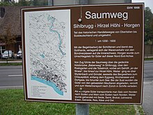 Saumweg Hirzel Höhi