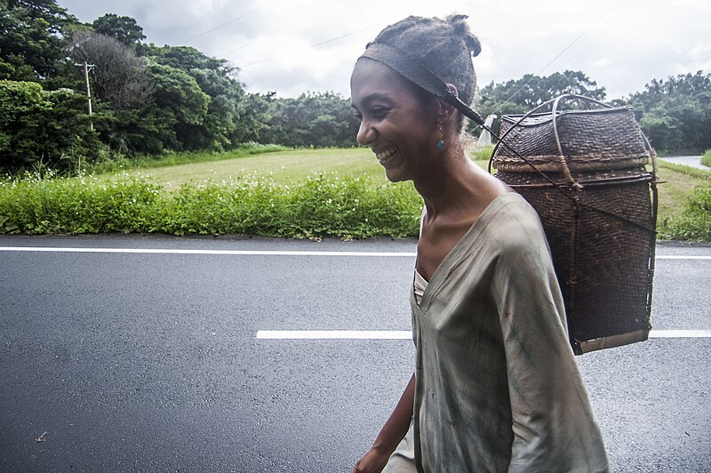 File:Smiling woman walking along a road in Japan 2015 (22676721864).jpg